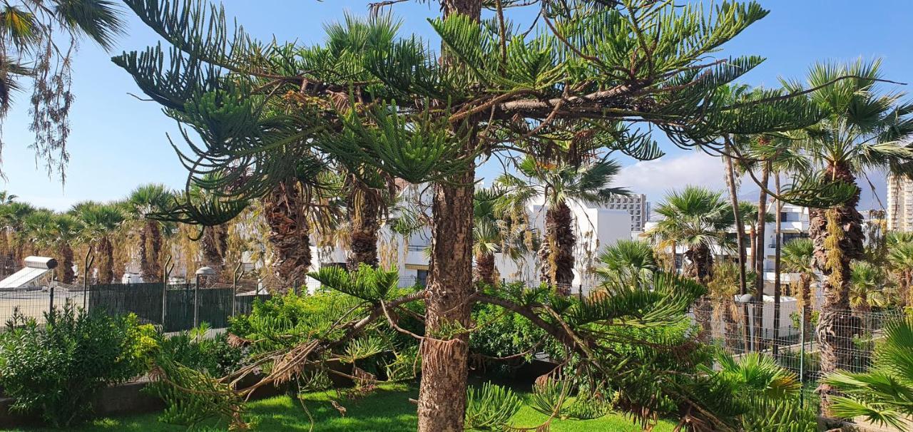 Adults Only Sunny Quiet Apartment In Center Of Las Americas Arona  Eksteriør billede