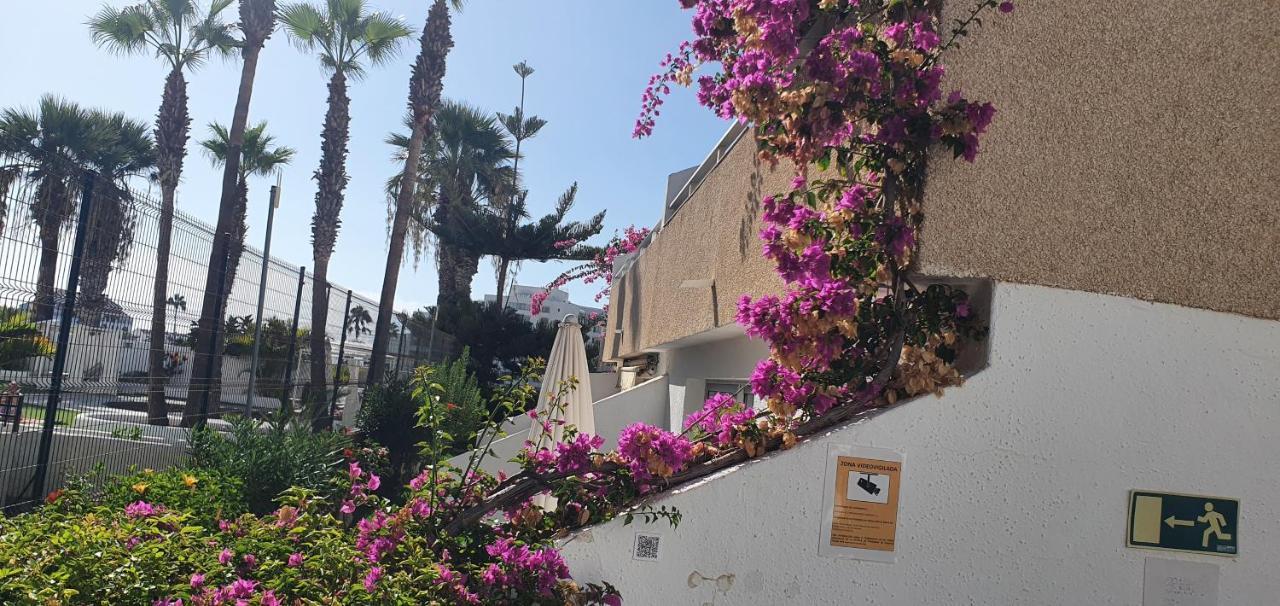 Adults Only Sunny Quiet Apartment In Center Of Las Americas Arona  Eksteriør billede