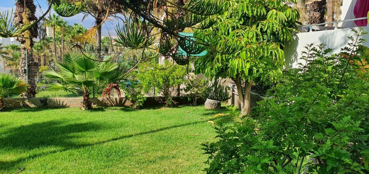 Adults Only Sunny Quiet Apartment In Center Of Las Americas Arona  Eksteriør billede