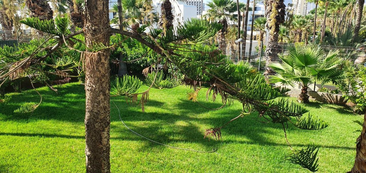 Adults Only Sunny Quiet Apartment In Center Of Las Americas Arona  Eksteriør billede