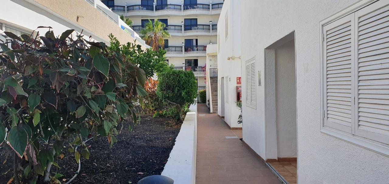 Adults Only Sunny Quiet Apartment In Center Of Las Americas Arona  Eksteriør billede